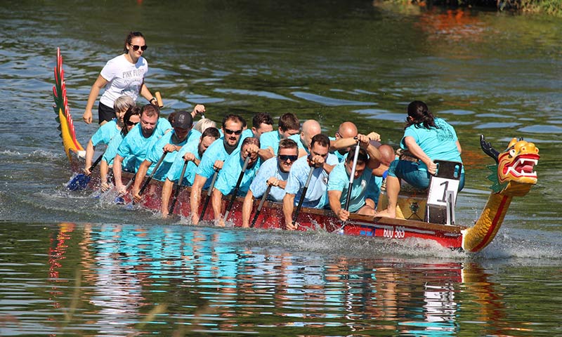 Dragon Boat Paddle