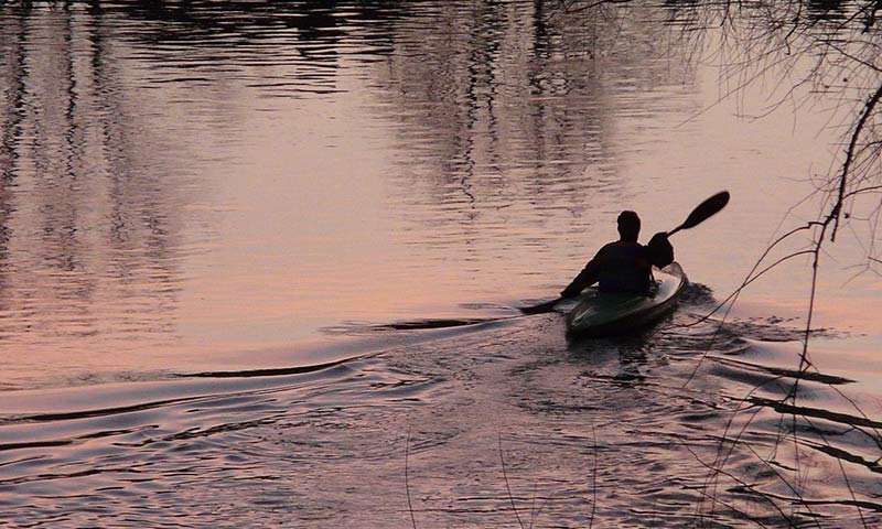 Kayak Paddle