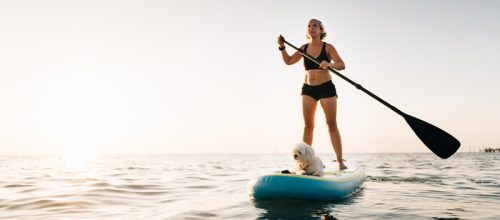 Kayak or SUP Paddles
