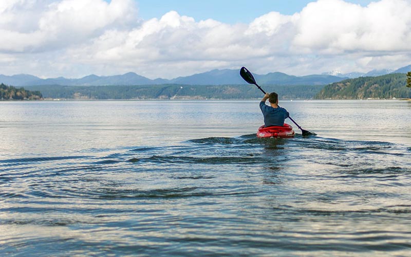 Kayak Paddle