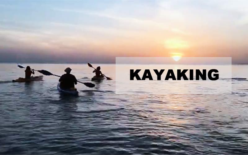 5 FAQ About Kayaking Sport Perfect for Beginner