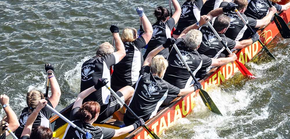 dragon boat paddle racing